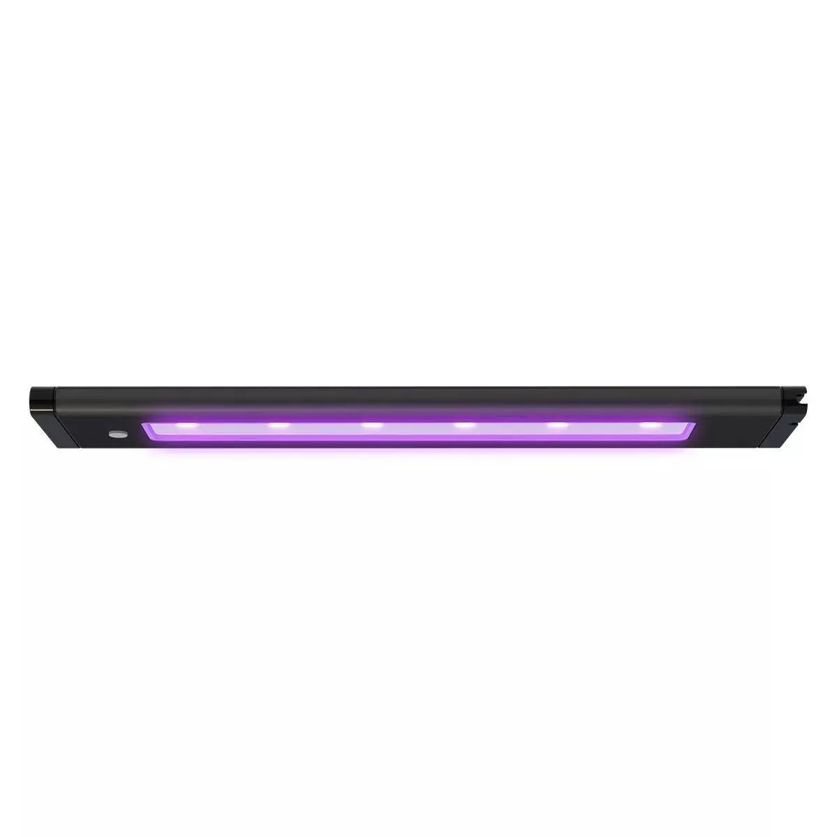 AI Blade Coral Glow
