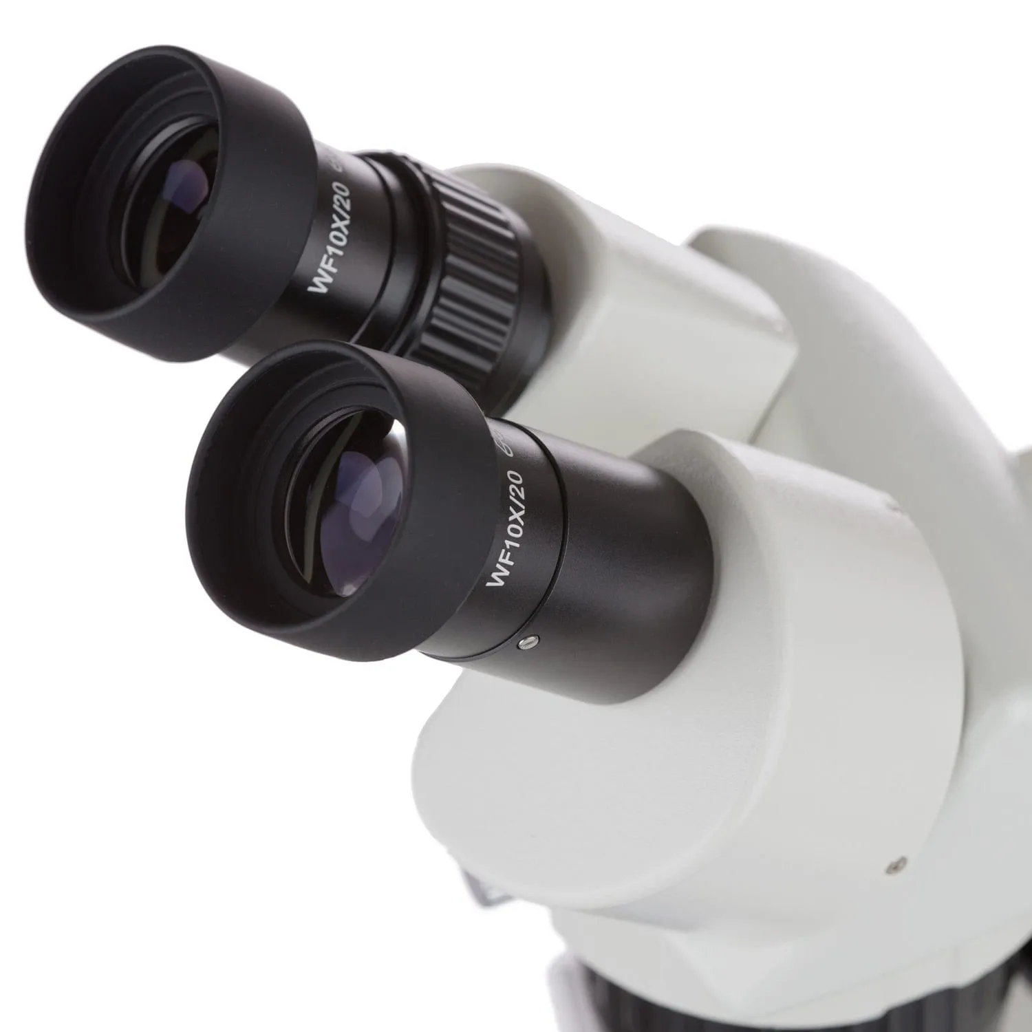 AmScope Super Widefield Binocular Stereo Microscope 20X-40X Magnification with Top & Bottom Halogen Lights on Pillar Stand