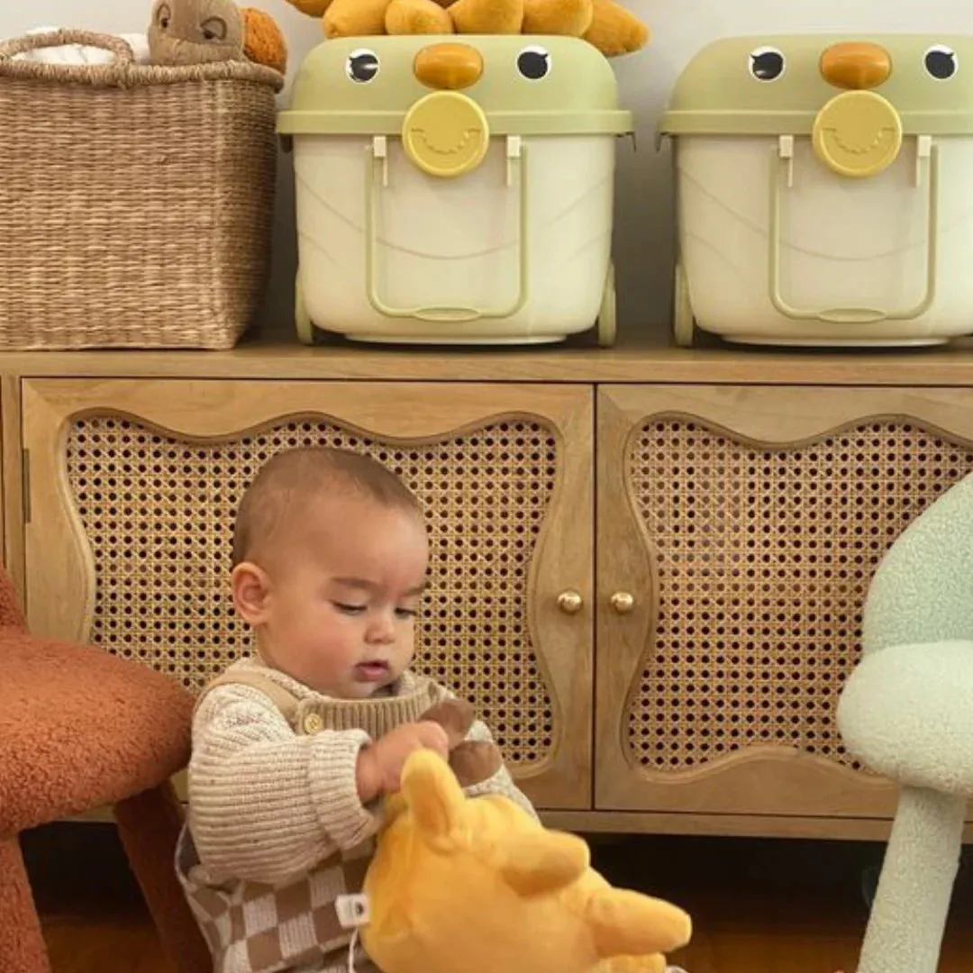 COWRIE & CONCH RIDE ALONG STORAGE 'TWEET TWEET': LARGE