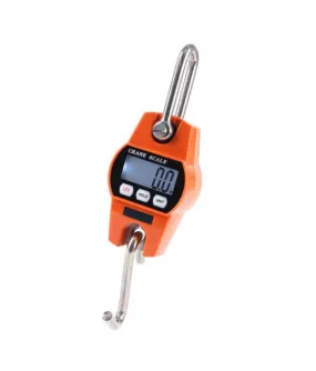 Digital Scales