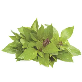 Fresh Herbs Basil Thai Bunch