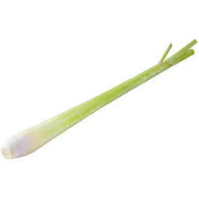 Fresh Herbs Lemongrass Stalk Each