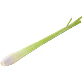 Fresh Herbs Lemongrass Stalk  Each