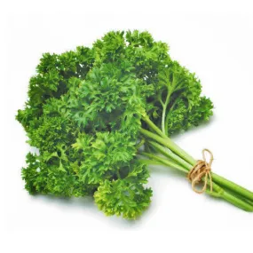 Fresh Herbs Parsley Curly bunch