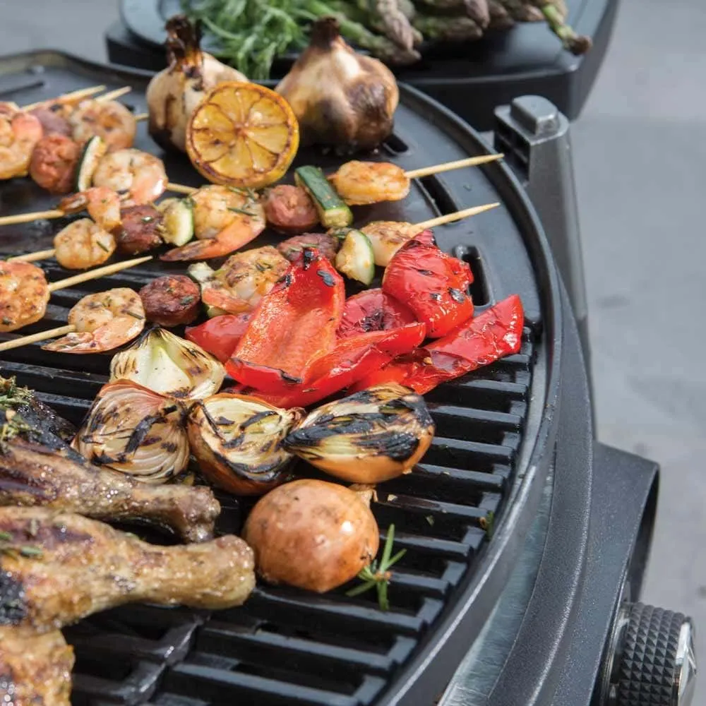 Gasmate Odyssey 2 Burner Trolley BBQ Matt Grey