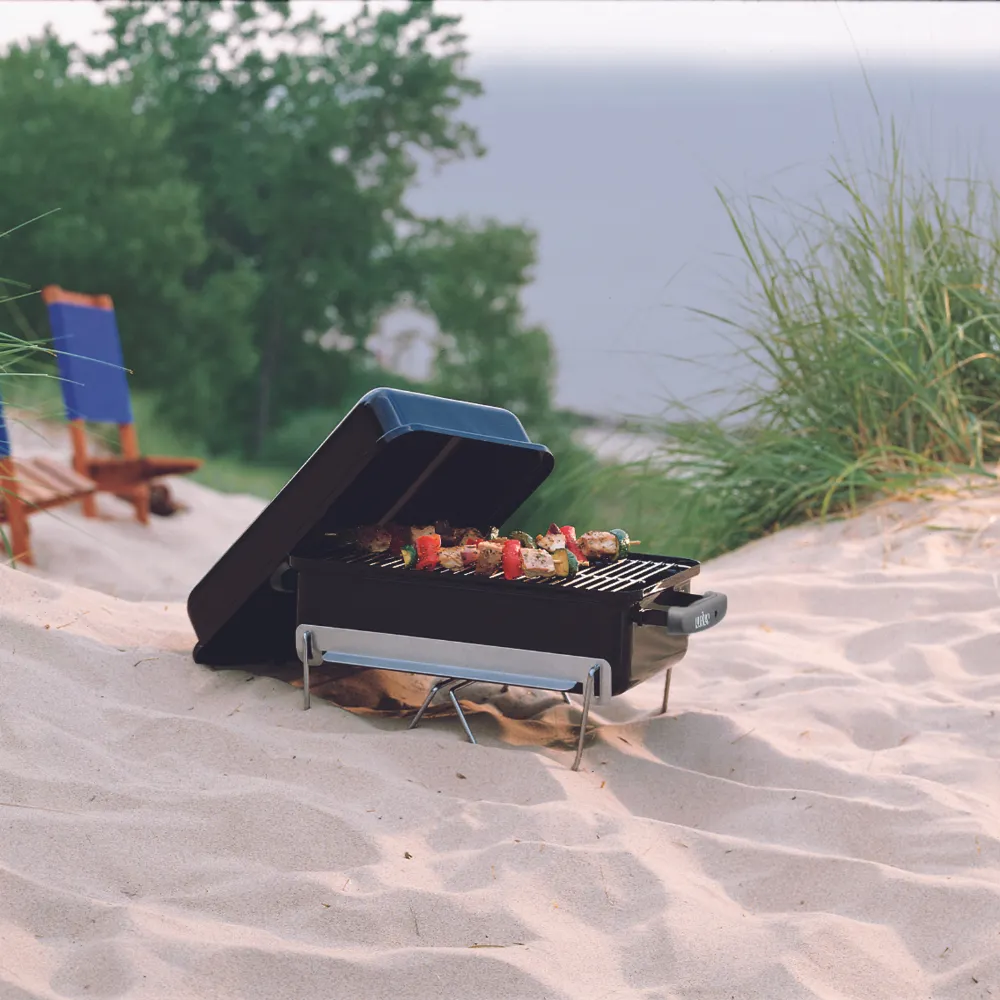Weber Go Anywhere Charcoal Black